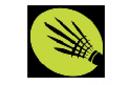 Badminton Saint Brevin